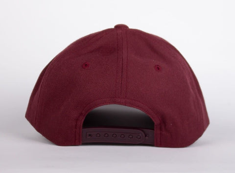 WLKN : Stair Baseball Cap