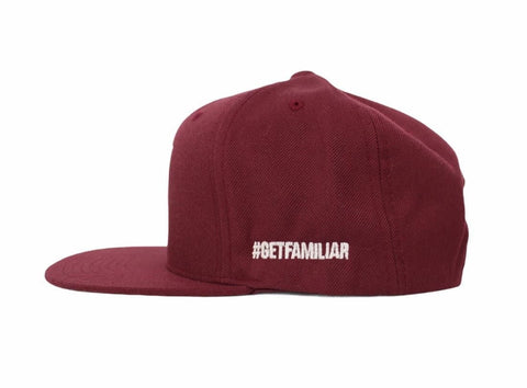 WLKN : Basic Signature Logo Snapback