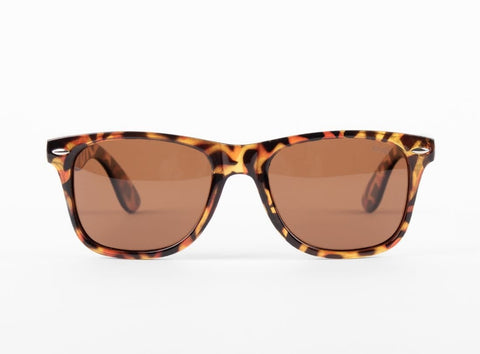 WLKN : Comb Sunglasses